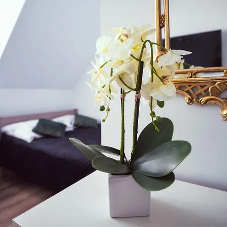 Julia ホームステイ