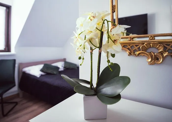 Julia Kwatera prywatna